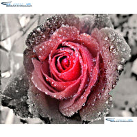 HOMFUN Full Square/Round Drill 5D DIY Diamond Painting "red rose flower" Embroidery Cross Stitch 5D Home Decor Gift A01131