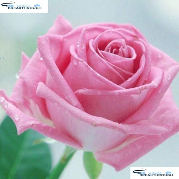 HOMFUN Full Square/Round Drill 5D DIY Diamond Painting "Pink rose flower" 3D Embroidery Cross Stitch 5D Home Decor A08088