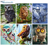 HUACAN Full Square Diamond Painting Owl 5D Diamond Embroidery Animals Picture Of Rhinestone DIY Diamond Mosaic Birds Decor Home
