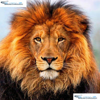 HOMFUN Full Square/Round Drill 5D DIY Diamond Painting "Animal lion" 3D Embroidery Cross Stitch 5D Decor Gift A16631