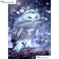 HOMFUN Full Square/Round Drill 5D DIY Diamond Painting "snow owl" Embroidery Cross Stitch 5D Home Decor Gift A01199
