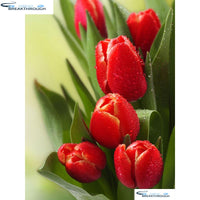 HOMFUN Full Square/Round Drill 5D DIY Diamond Painting "red tulip Flower" 3D Embroidery Cross Stitch 5D Decor Gift A00515