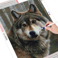 HUACAN 5D DIY Diamond Painting Wolf Diamond Mosaic Picture Of Rhinestones Diamond Embroidery Cross Stitch Animal Home Decor Gift