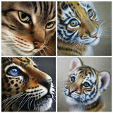 HUACAN 5d Diamond Painting Full Drill Square Cat Diamond Mosaic Accessories Animal Rhinestones Pictures Wall Art