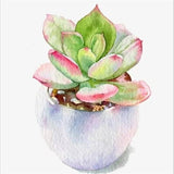 5D DIY Diamond Painting Floral " Succulent Color Landscape " Full Square/Round Drill Resin Embroidery Cross Stitch - Great Breakthrough