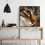 HUACAN 5d Diamond Painting Full Drill Square Cat Diamond Mosaic Accessories Animal Rhinestones Pictures Wall Art