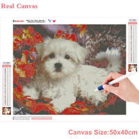 HUACAN Dog Diamond Painting 5D Animal Full Drill Square Diamond Art Embroidery Cross Stitch Home Decoration
