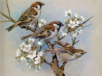 5D Diamond Painting Animals Bird Diamond Embroidery Full Drill Square Picture Of Rhinestones Home Decoration - Great Breakthrough