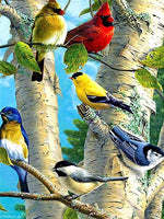 Diamond Painting Animals Cross Stitch Birds Diamond Embroidery 5D DIY Mosaic Full Drill Decoration Home - Great Breakthrough