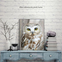 HUACAN 5D Diamond Painting Owl Birds Full Drill Resin Pictures Of Rhinestones Decor Home DIY Mosaic Diamond Embroidery Animals