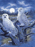 Full Square Diamond Painting Animals Owl 5D Diamond Embroidery Picture Of Rhinestone DIY Diamond Mosaic Birds Decor Home - Great Breakthrough
