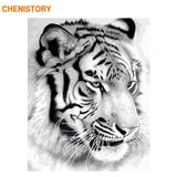CHENISTORY Frame Tigers Animals DIY Painting By Numbers Black White Calligraphy Painting Acrylic Paint On Canvas For Home Decor