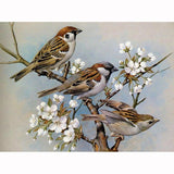 Full Square/Round Drill 5D DIY Diamond Painting Animals " Bird " Embroidery Cross Stitch - Great Breakthrough