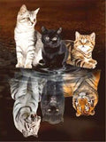 Diamond Mosaic Cat 5D Diamond Painting Animals Kit Full Square Diamond Embroidery Sale Rhinestone - Great Breakthrough