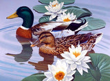 Diamond Painting Animals Flower Duck Landscape Full Square/Round Drill Inlaid Resin Embroidery