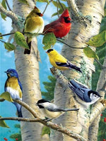 5D Diamond Painting Animals Bird Diamond Art Full Drill Round Embroidery Home Decoration New Arrival Gift - Great Breakthrough