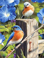 Diamond Painting Animals Cross Stitch Birds Diamond Embroidery 5D DIY Mosaic Full Drill Decoration Home - Great Breakthrough