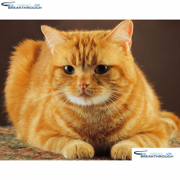 HOMFUN Full Square/Round Drill 5D DIY Diamond Painting "Animal cat" Embroidery Cross Stitch 5D Home Decor Gift A16397