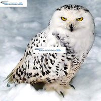 HOMFUN Full Square/Round Drill 5D DIY Diamond Painting "Snow owl" 3D Embroidery Cross Stitch 5D Decor Gift A00829